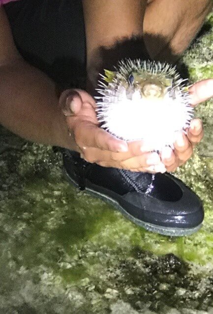 海觀系企劃達人產業學程校外教學活動熱情完成圖片
