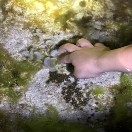 海觀系企劃達人產業學程校外教學活動熱情完成圖片