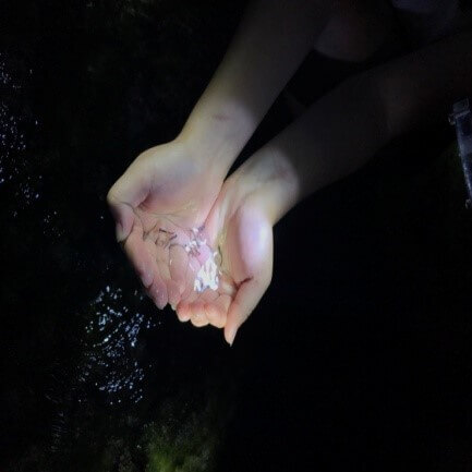 海觀系企劃達人產業學程校外教學活動熱情完成圖片