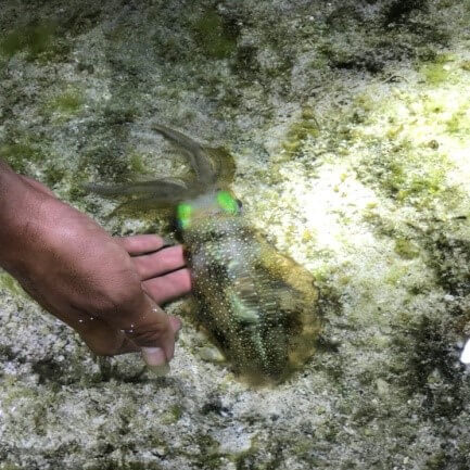 海觀系企劃達人產業學程校外教學活動熱情完成圖片