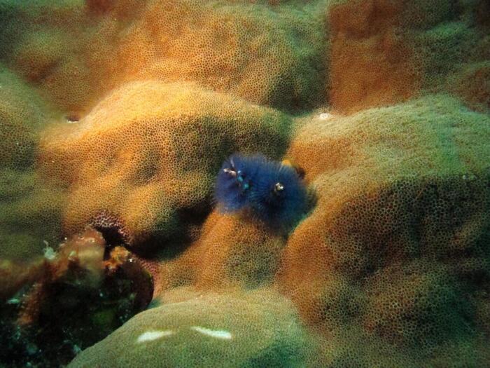 海觀系企劃達人產業學程校外教學活動熱情完成圖片