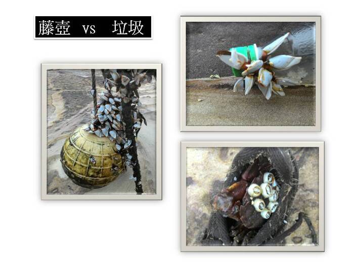 2015.09.26愛海不遲疑，一起淨灘去~圖片