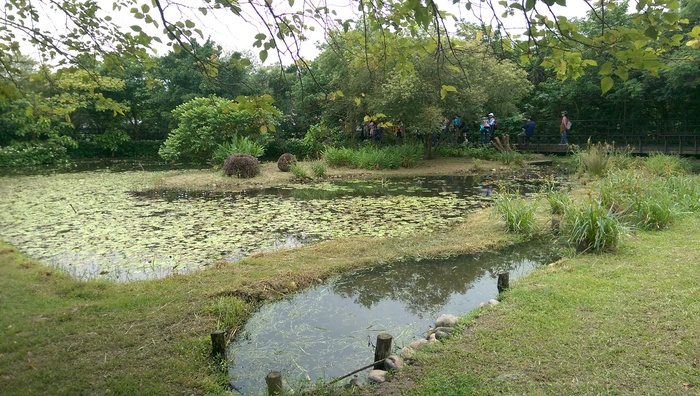 觀一誠觀一明關渡自然公園校外教學圖片