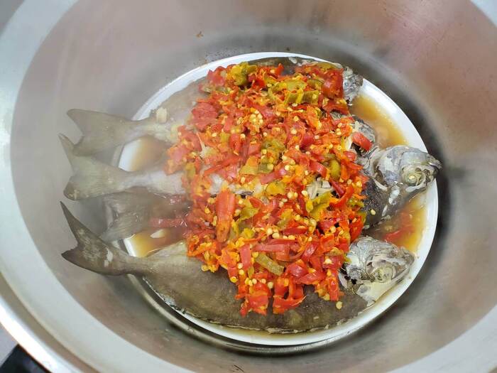 海觀系平安夜與紋豆娘魚、臭肚魚跟海吳郭一起過圖片