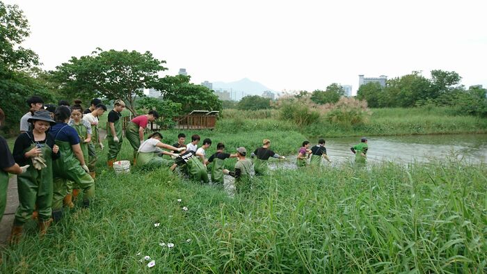 105年11月18日四觀四甲、四乙於關渡自然公園的心濕地園區進行服務學習活動圖片